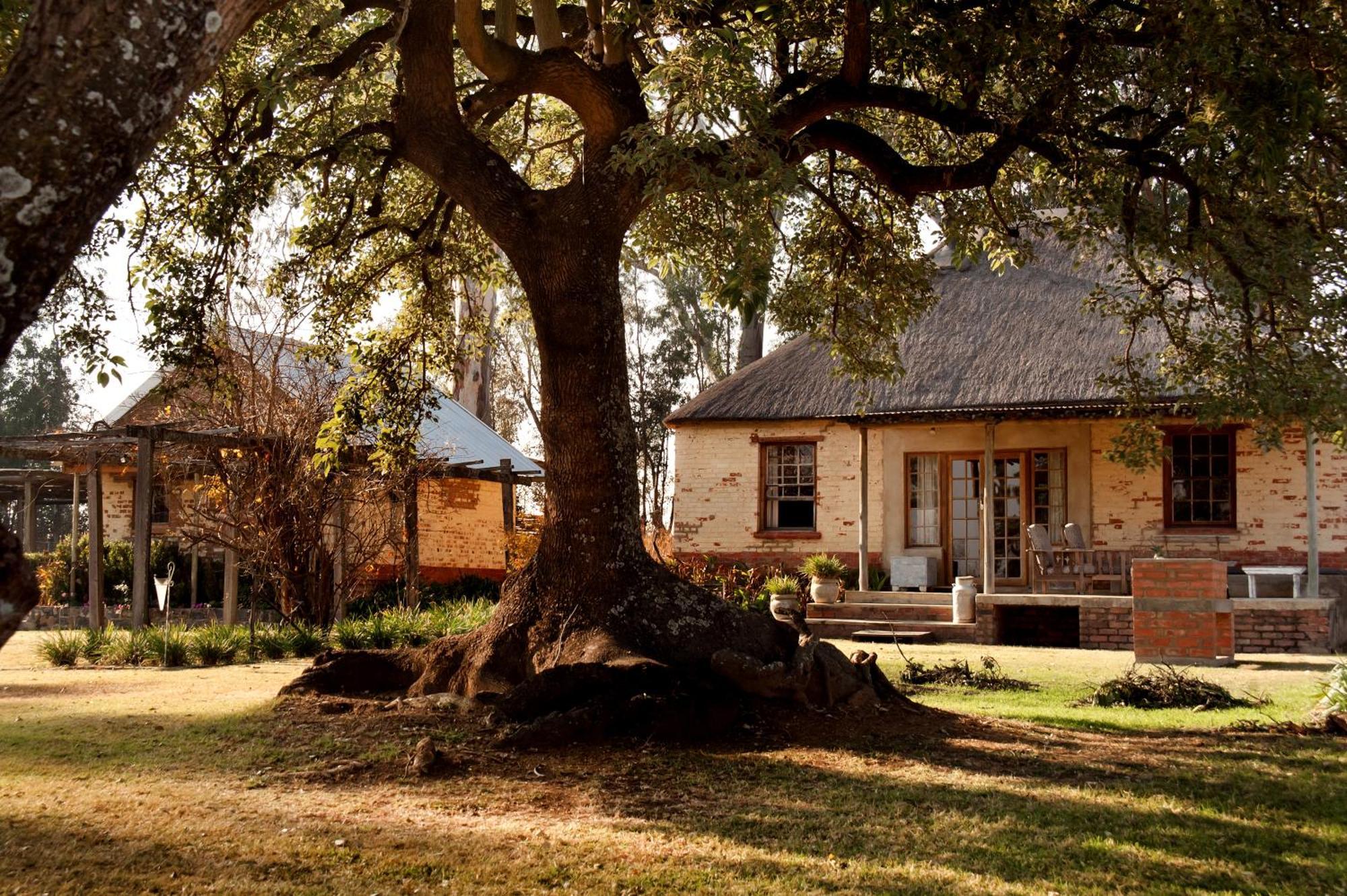 Dalmore Guest Farm Bergville Bagian luar foto